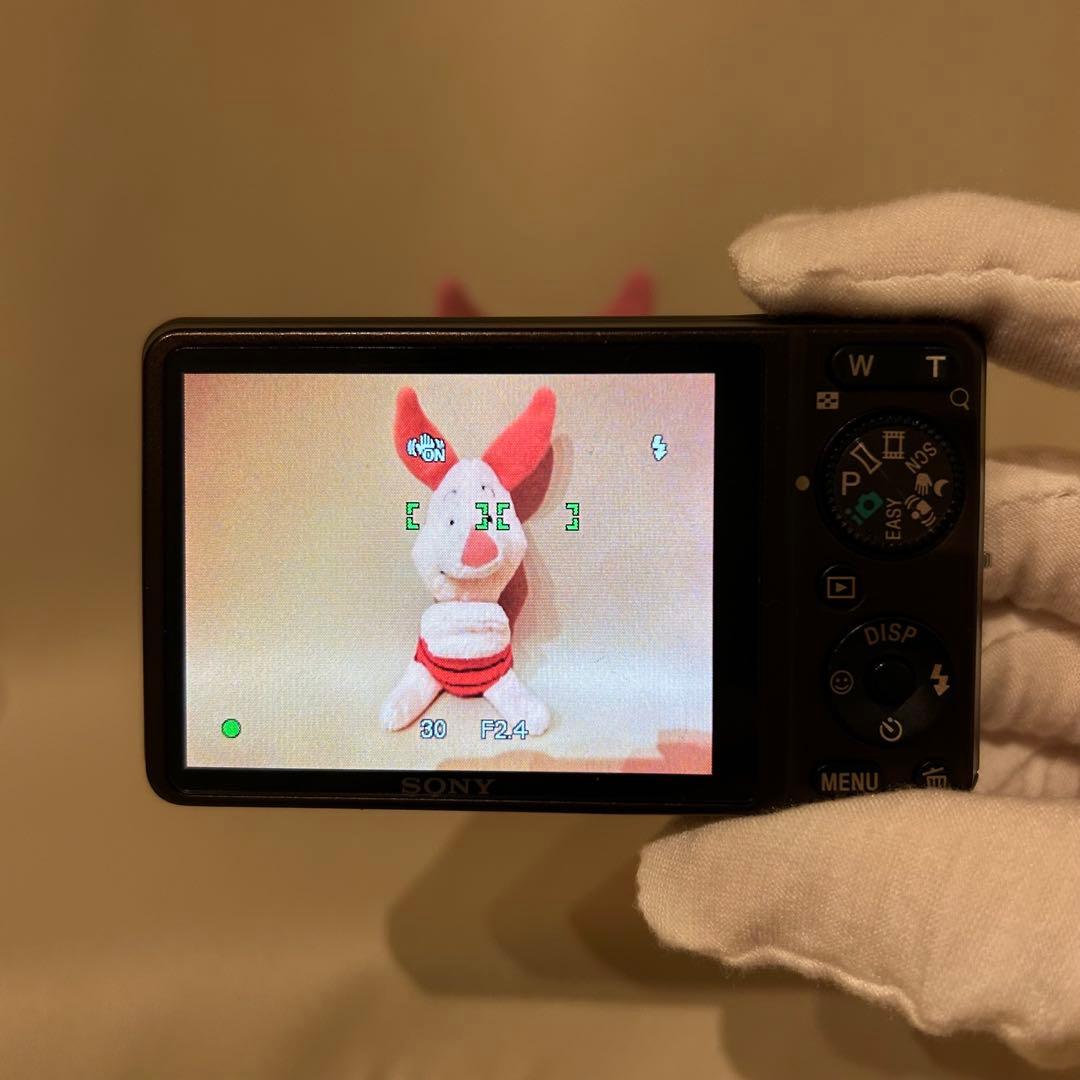 【✨平成レトロ✨】 SONY Cyber-shot DSC-WX1 コンデジ