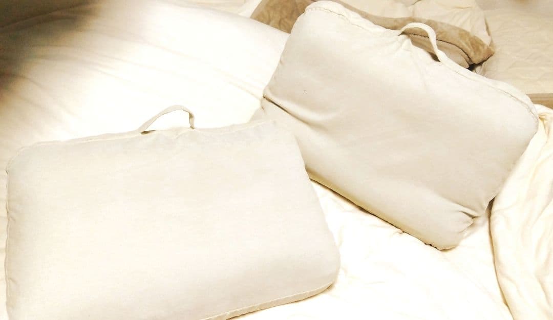 カインズ Lepoco 背もたれイス 2個セット