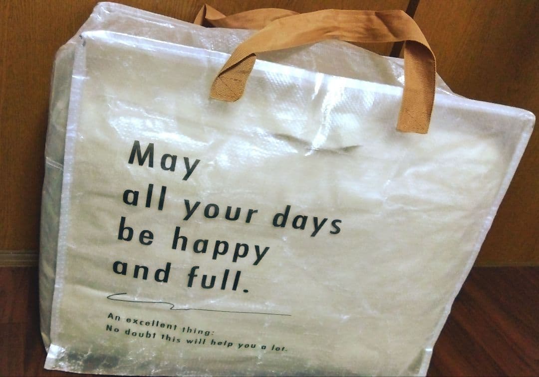 カインズ Lepoco 背もたれイス 2個セット