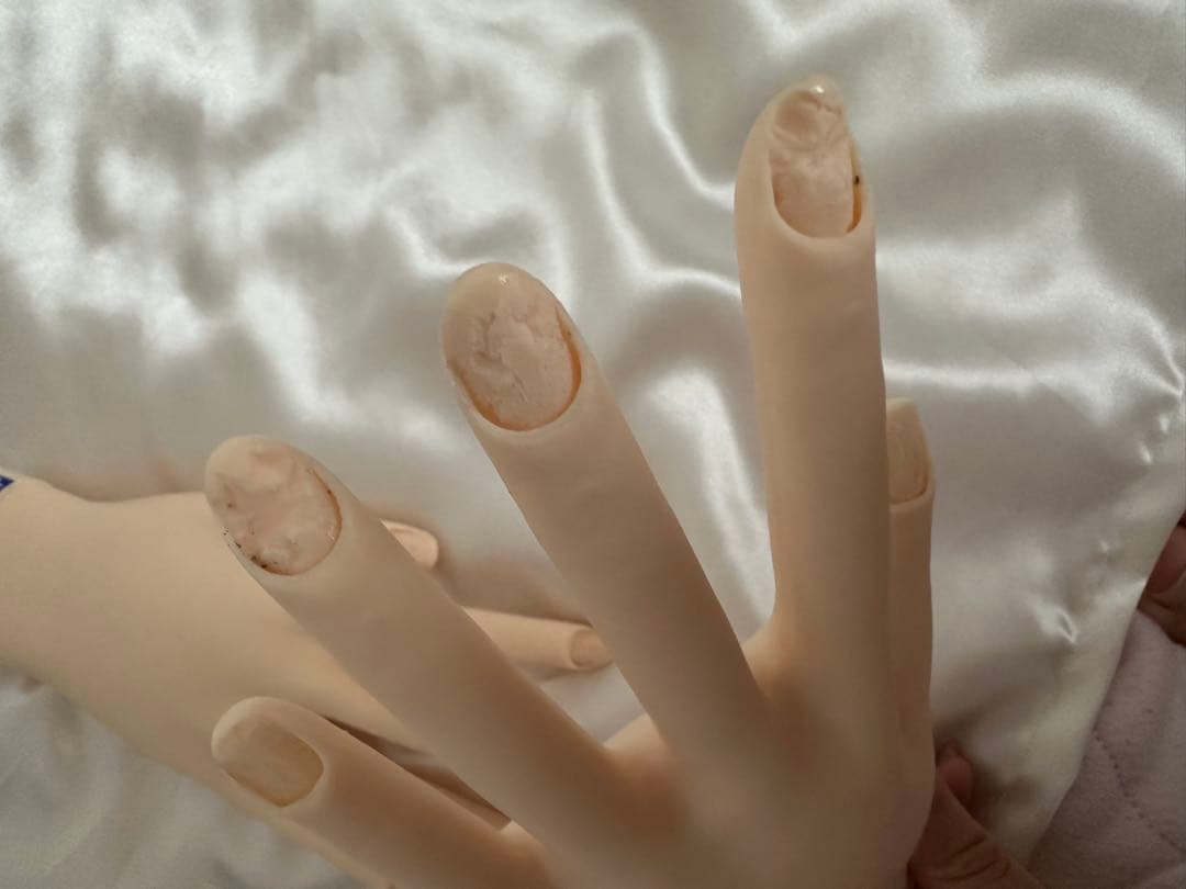 JENC認定モデルハンド　チップなど付属品あり