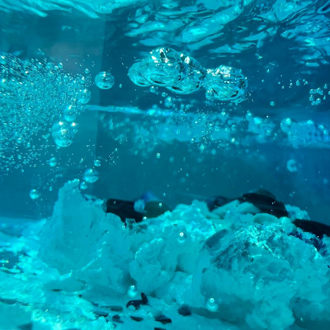 【波紋アート】さざなみクリスタル・プレミアム／期間限定でマルチminiライト付き