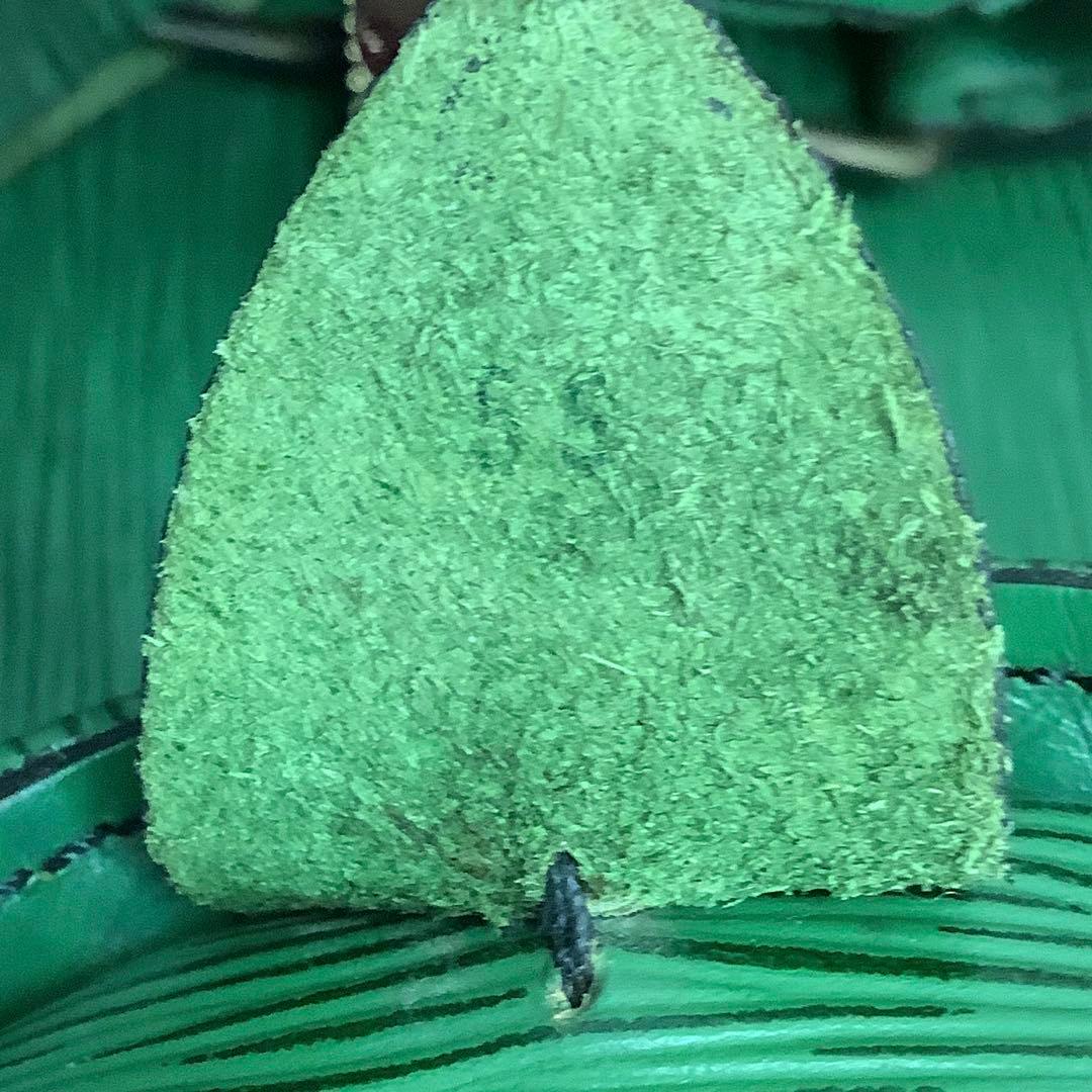 ご*！様 LOUIS VUITTON ヴィトン エピ キーポル55 大容量 ボス