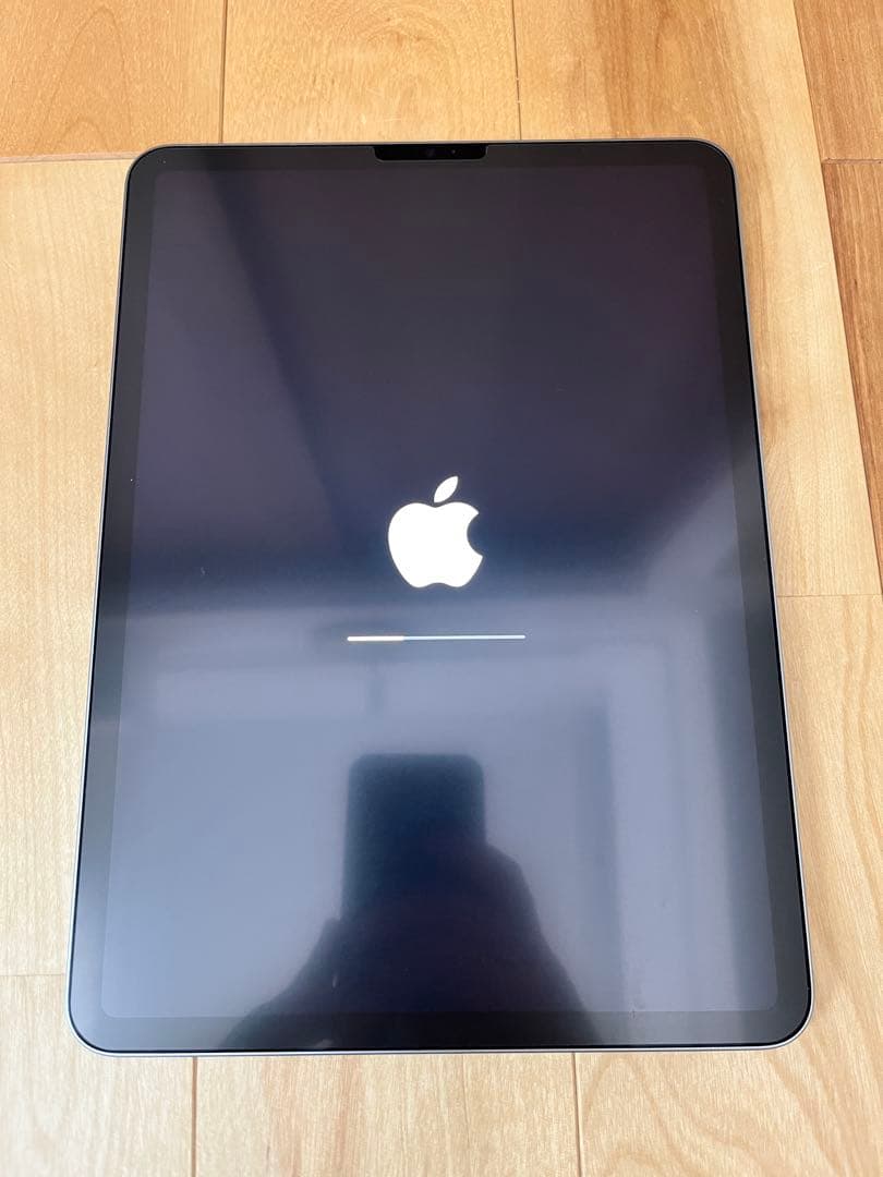 builuhavipa4 11インチ iPadPro (第4世代)