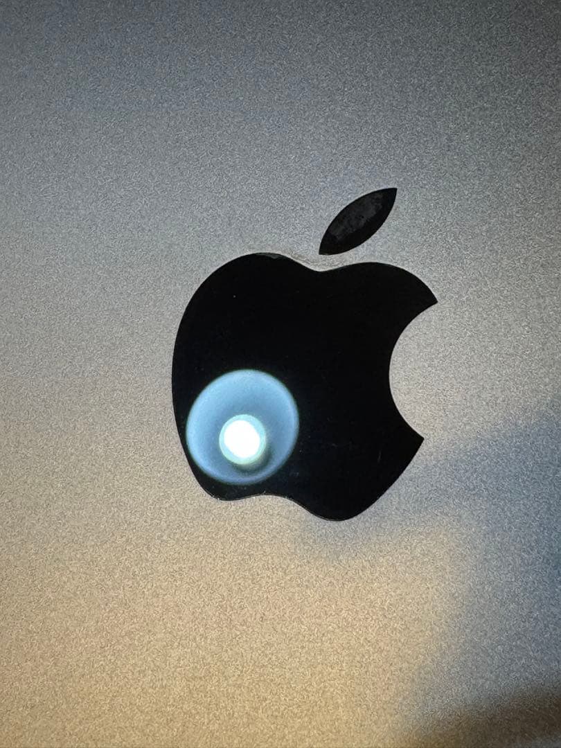 初期化済み iPadPro 11インチ 256GB タブレット Apple 本体