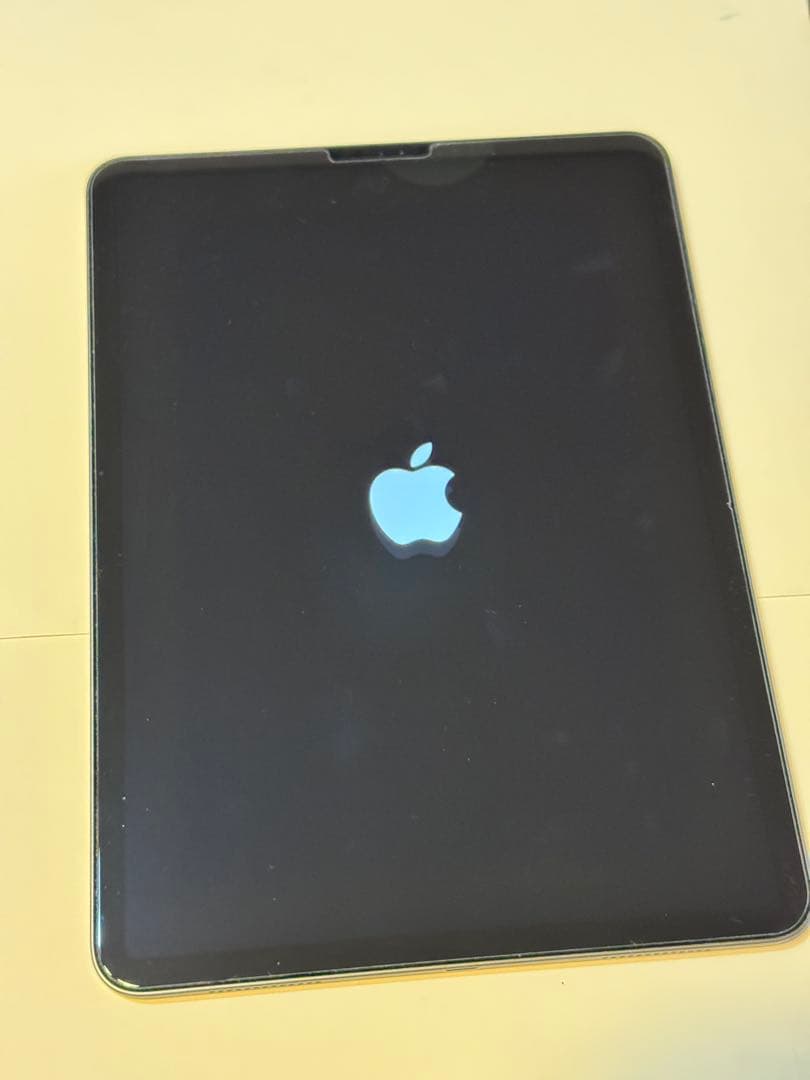 初期化済み iPadPro 11インチ 256GB タブレット Apple 本体