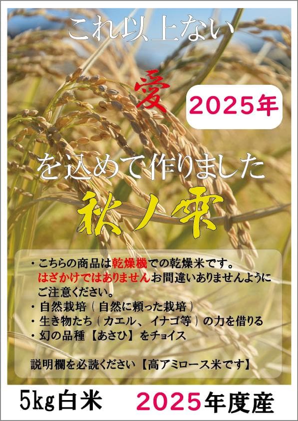 2025年　朝日米5kg白米　たけ爺ブランド米 栽培期間中無化学肥料・無農薬栽培