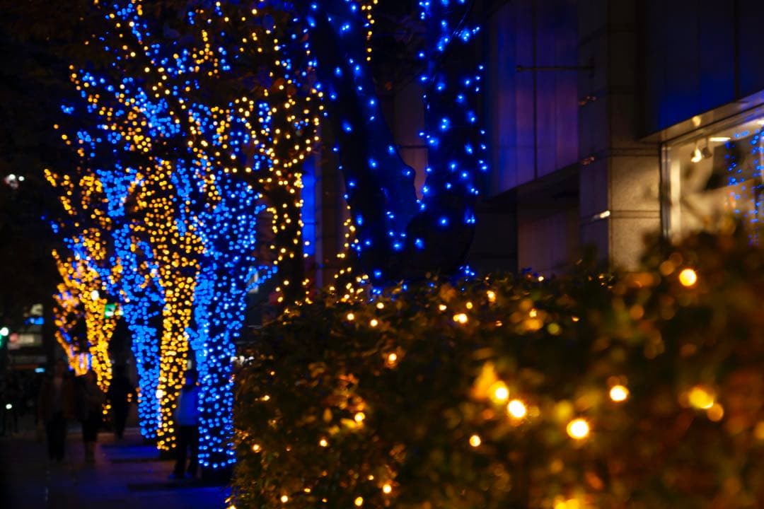 SAL1680Z 作例あり 16-80 DT Vario-Sonnar