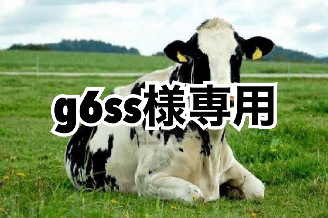 玉はみ黒、キャメル、ブルー各色10m、キャメルへり9.4m