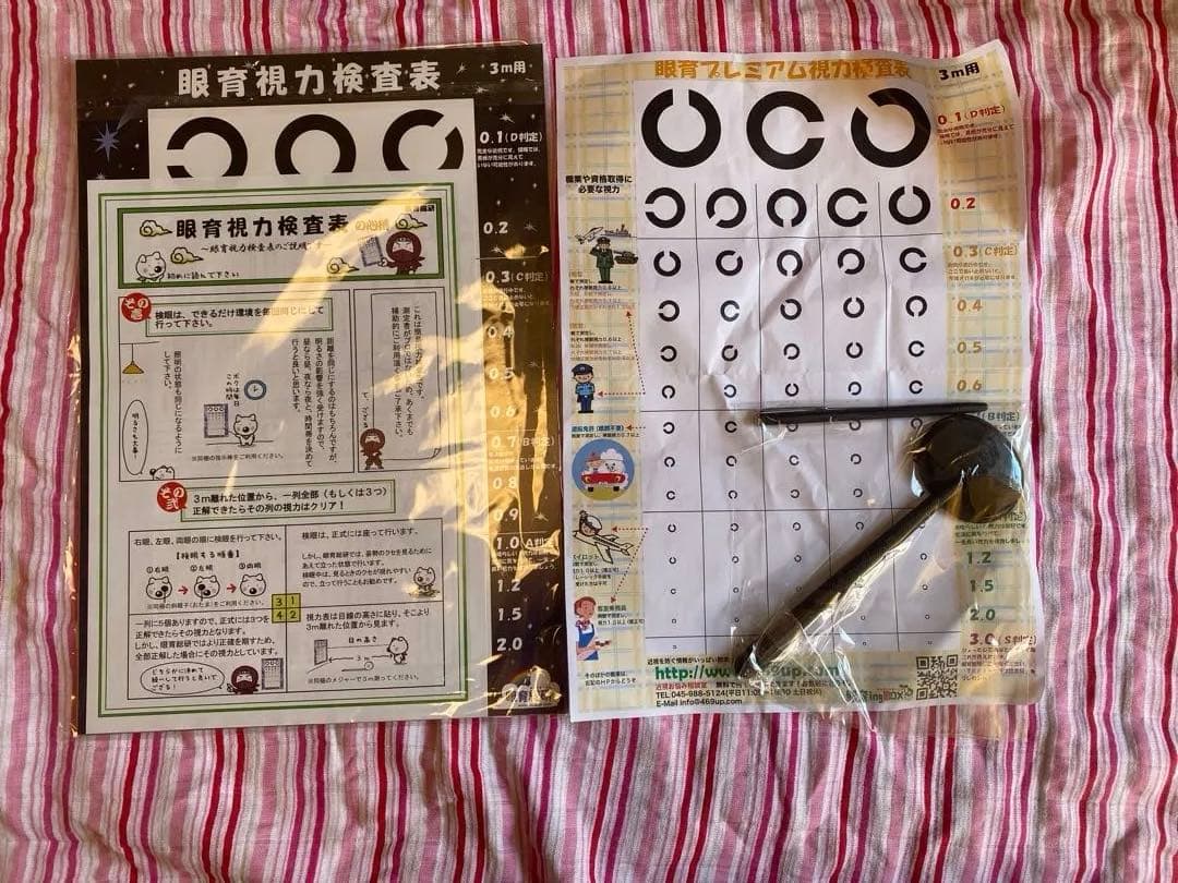 眼育総研　ホームワック　視力回復トレーニング