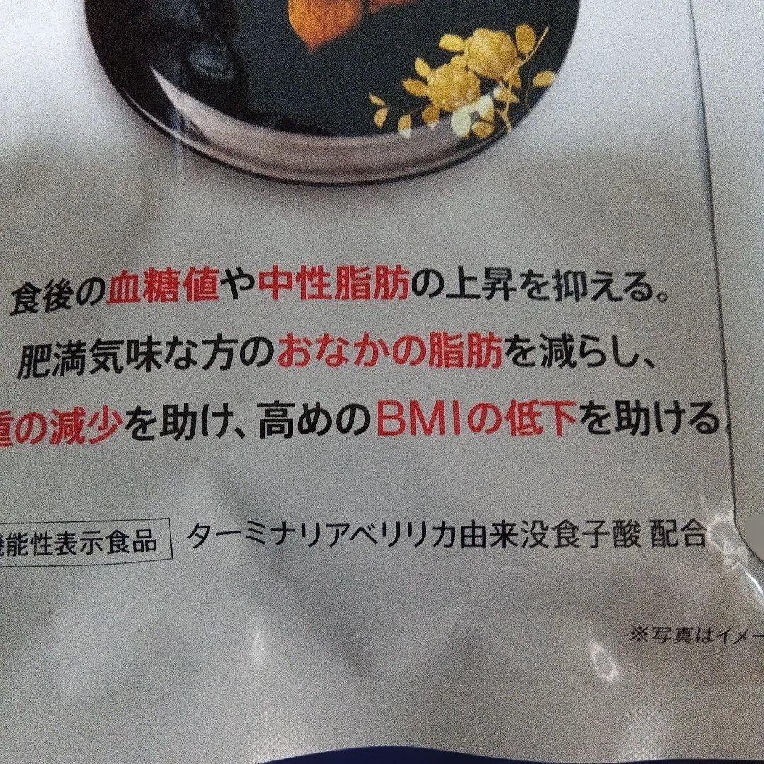 ターミナリアファースト PROFESSIONAL 480粒ケース