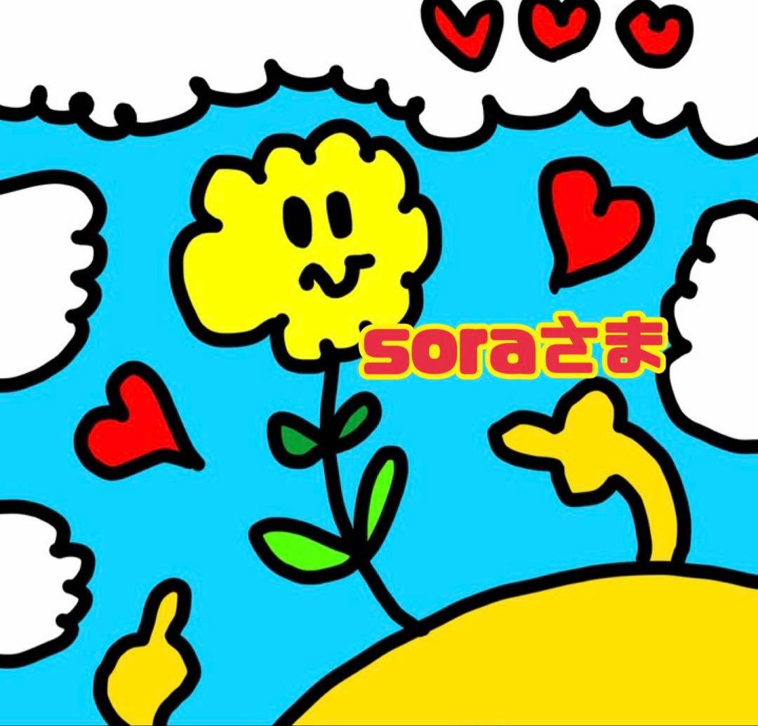 ◡̈⃝⋆*sora様❤︎専用です