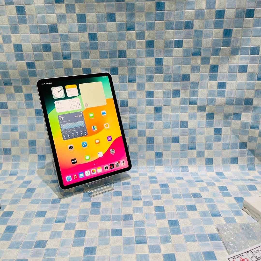 Wi-Fi iPad Pro 11インチ 第1世代 本体 256GB シルバー