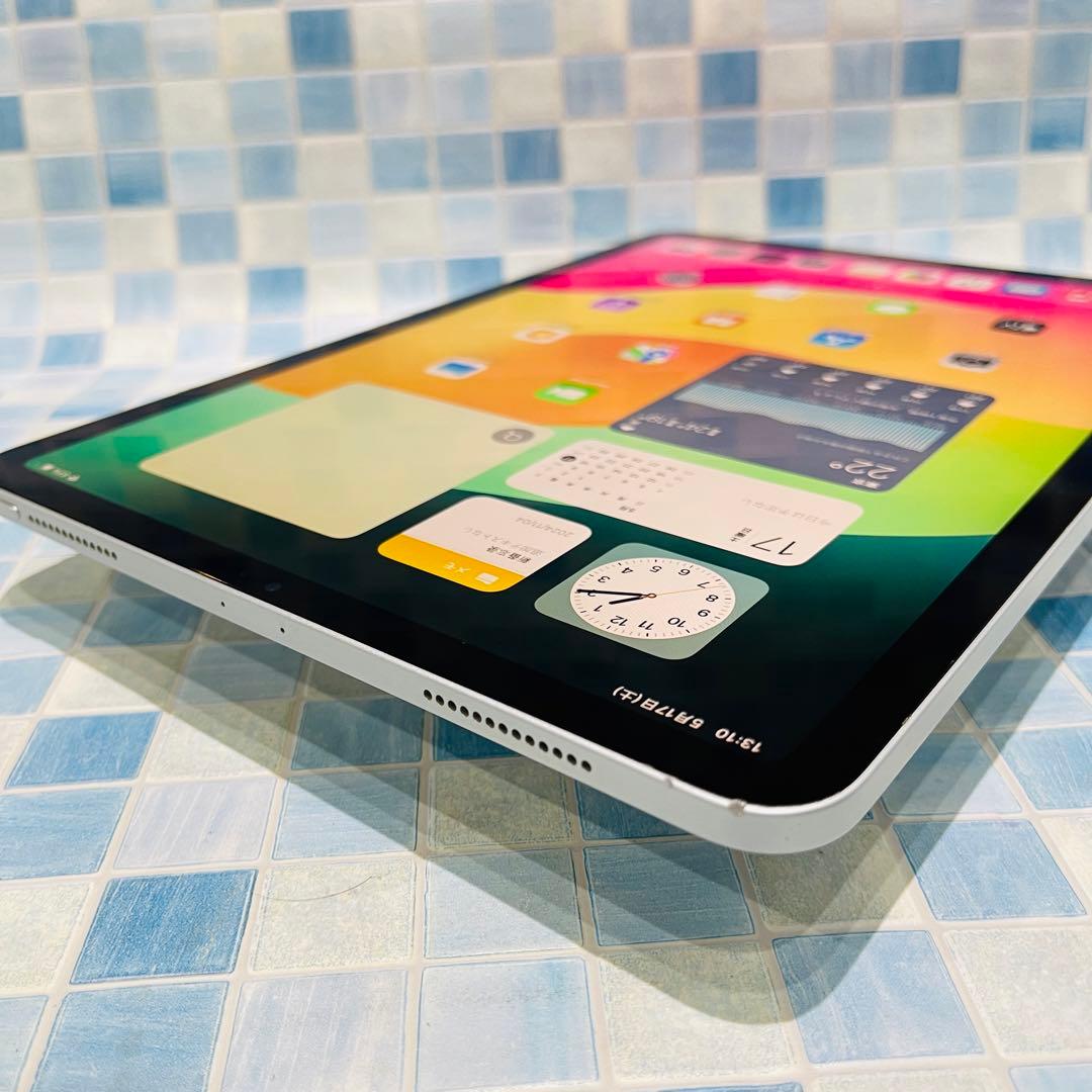 Wi-Fi iPad Pro 11インチ 第1世代 本体 256GB シルバー