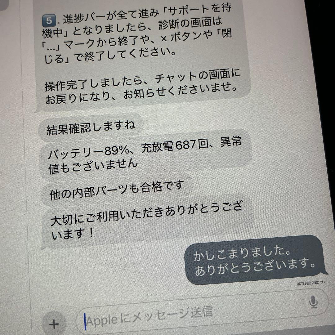 iPad mini 6+ apple pencil セット