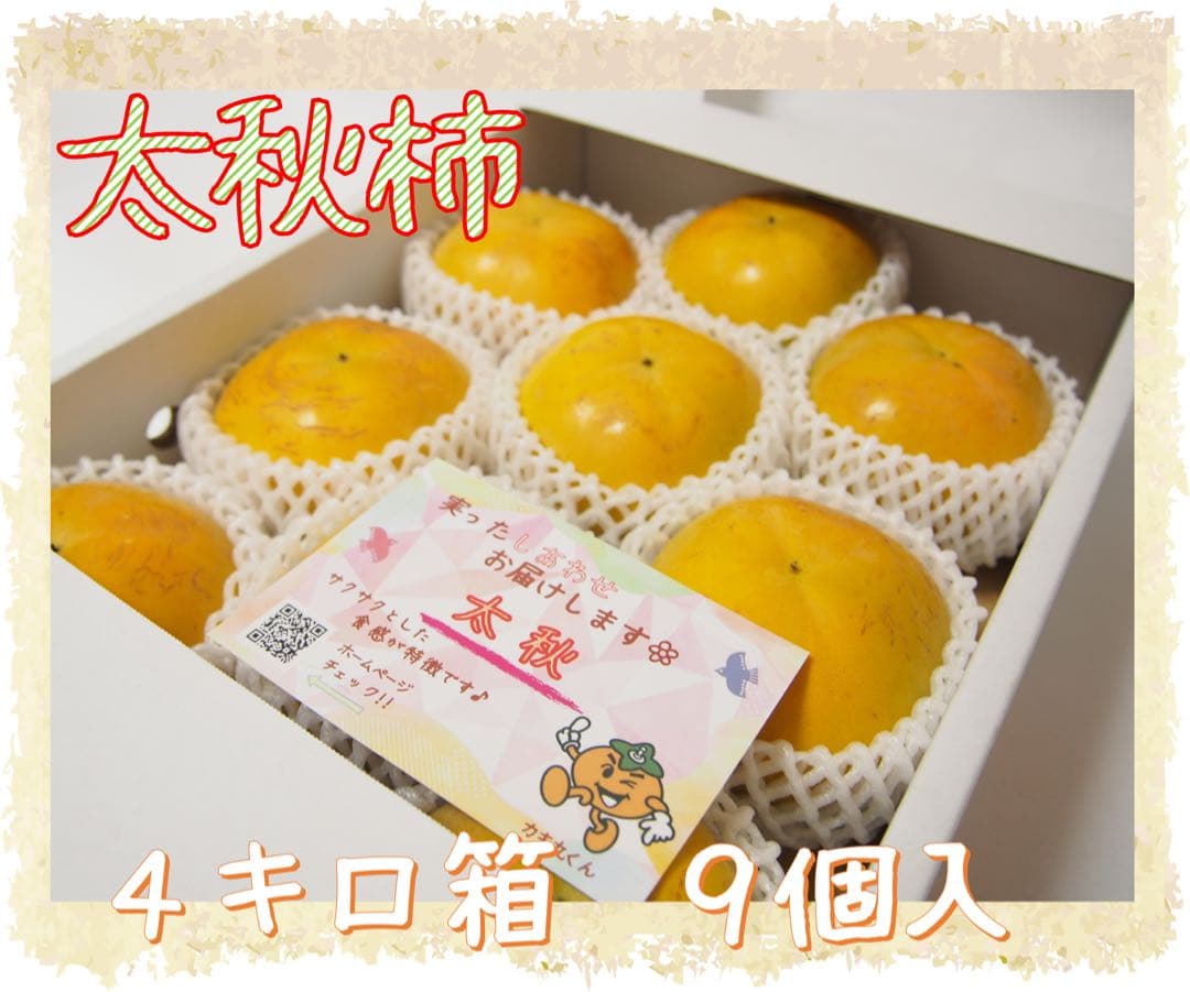《Tam》【太秋柿】４キロ箱　9個入　８個入各1箱