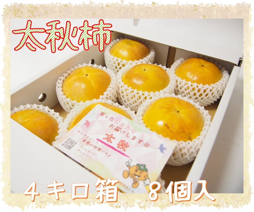 《Tam》【太秋柿】４キロ箱　9個入　８個入各1箱