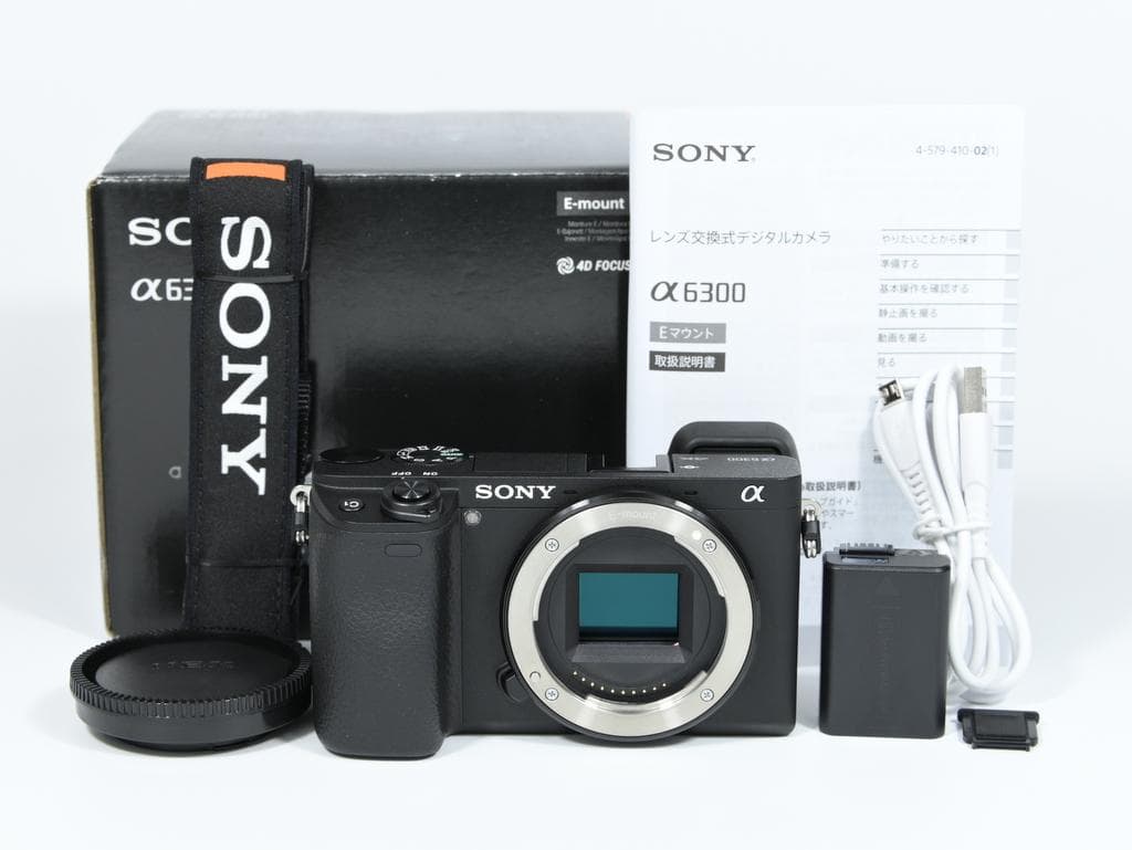 【超美品】SONY α6300 ILCE-6300 ボディ《ショット数1723》