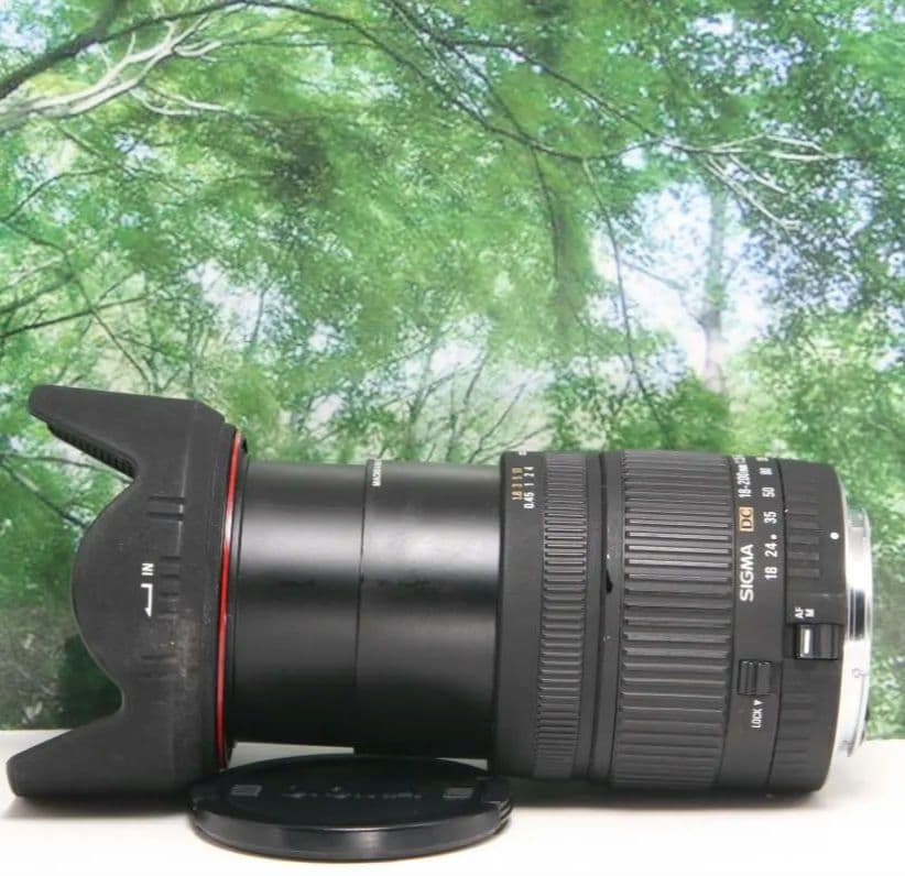 ❤近くから遠くまでこれ１本☆シグマ 18-200mm DC キャノン用❤