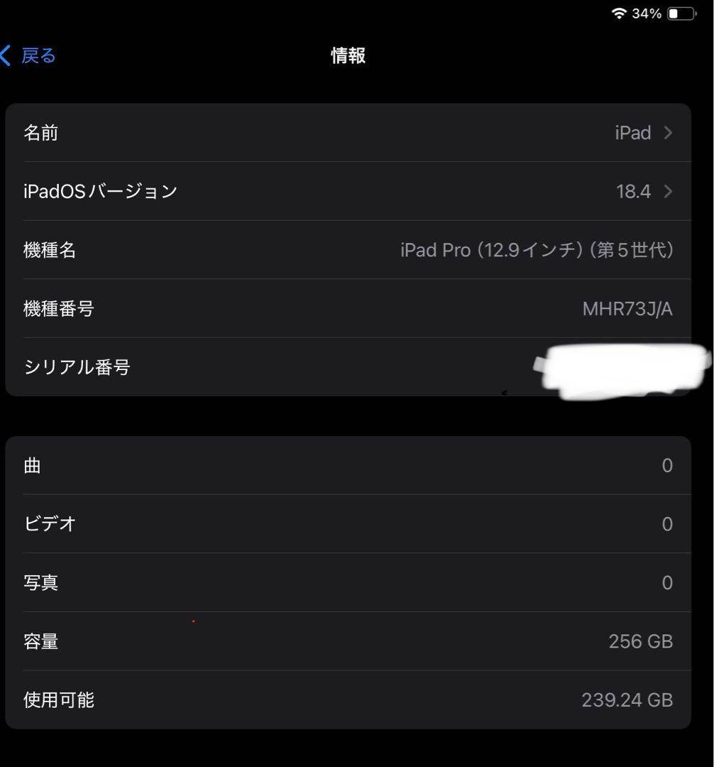 【美品】iPad Pro 12.9 第5世代 256GB