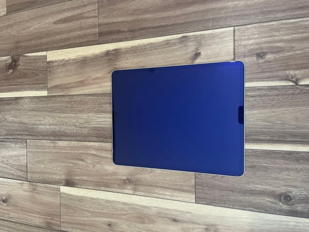 【美品】iPad Pro 12.9 第5世代 256GB