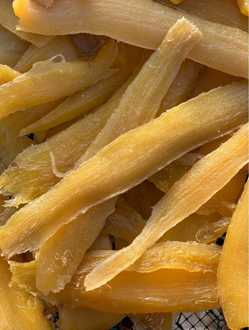 紅はるか　セッコウ　10キロ