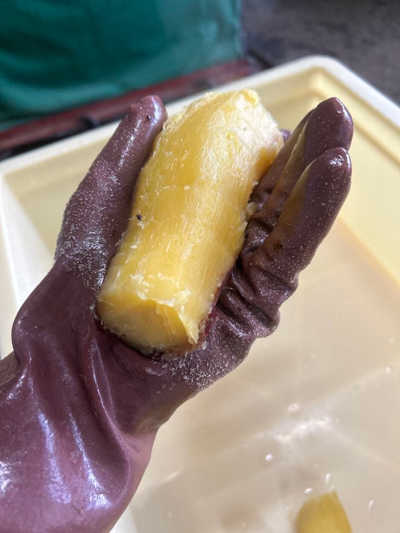 紅はるか　セッコウ　10キロ