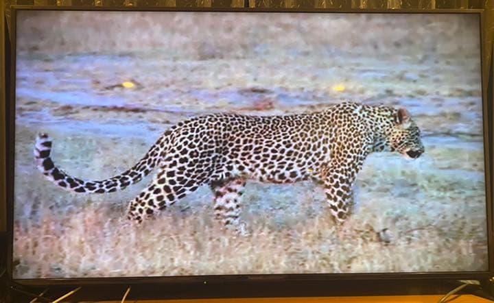 Panasonic パナソニック　TV テレビ　60インチ