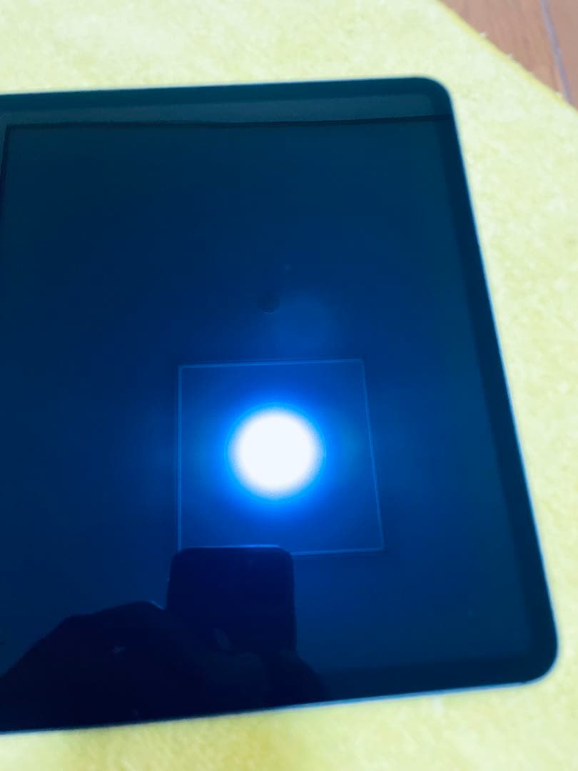 iPad Pro 12.9 (第4世代） 512GB Cellular モデル