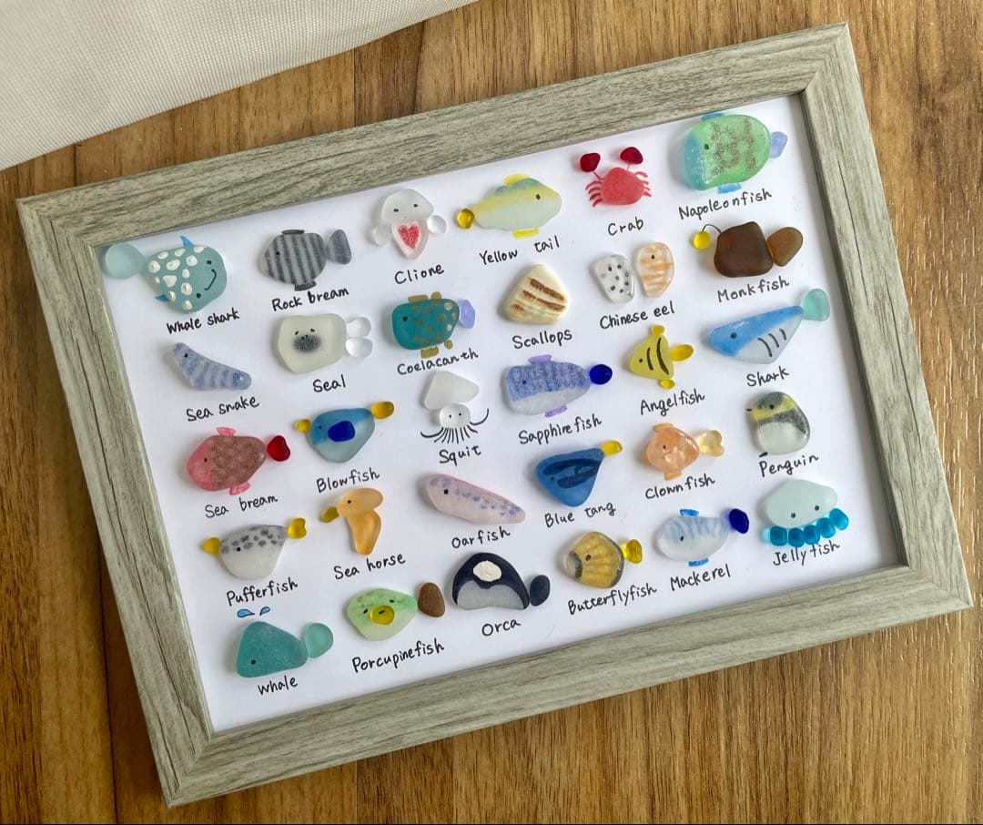 人気の新作！シーグラスアート☆No.452 図鑑　海の生き物　ギフト　プレゼント