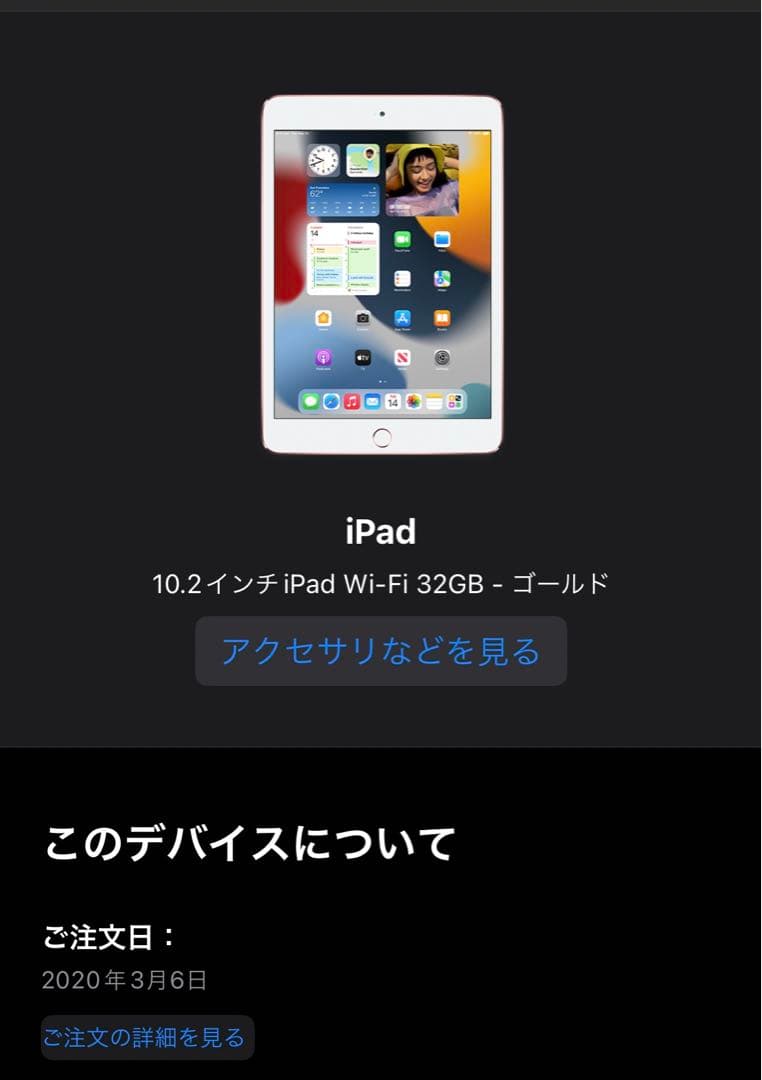 iPad本体