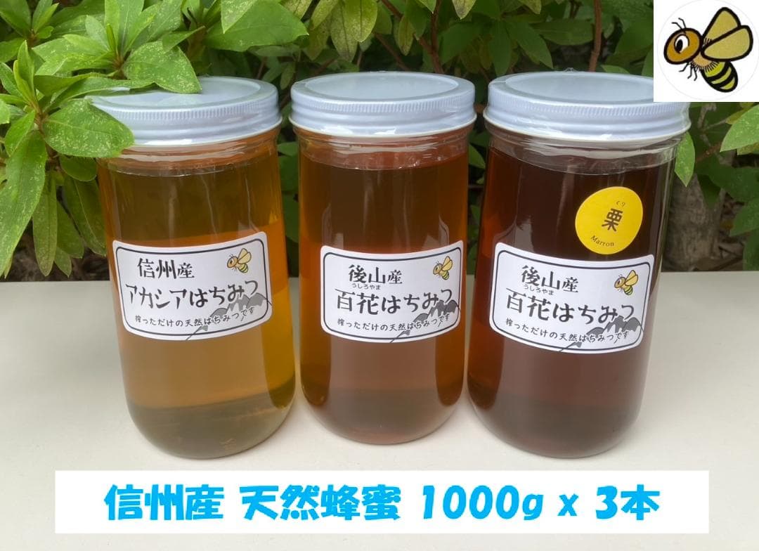 【7末迄】 国産蜂蜜 1000g 3本セット 信州産 アカシア蜜 百花蜜 栗蜜a