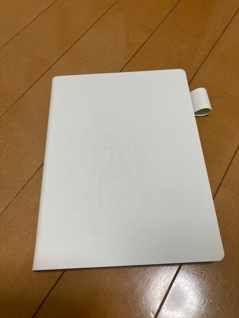 その他 Supernote Nomad + Heart of l pen 2