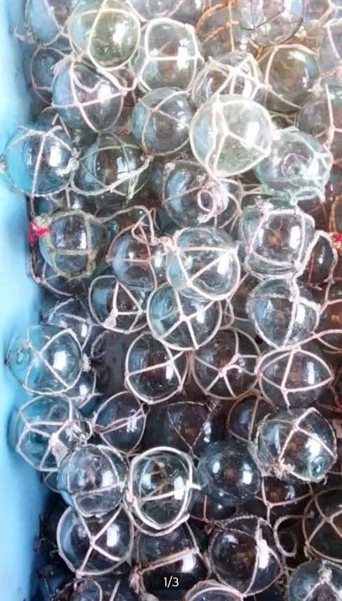 ガラス浮き玉　網付き150個