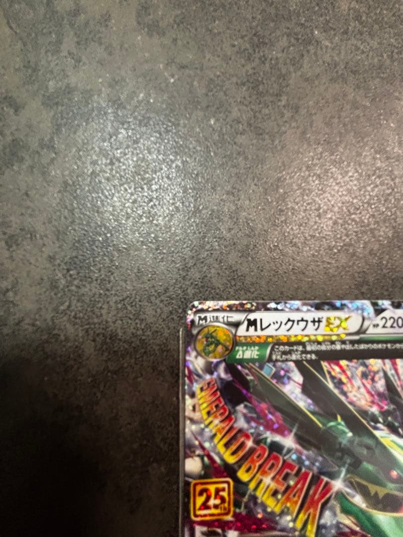 MレックウザEX(25th) s8a-P024/025