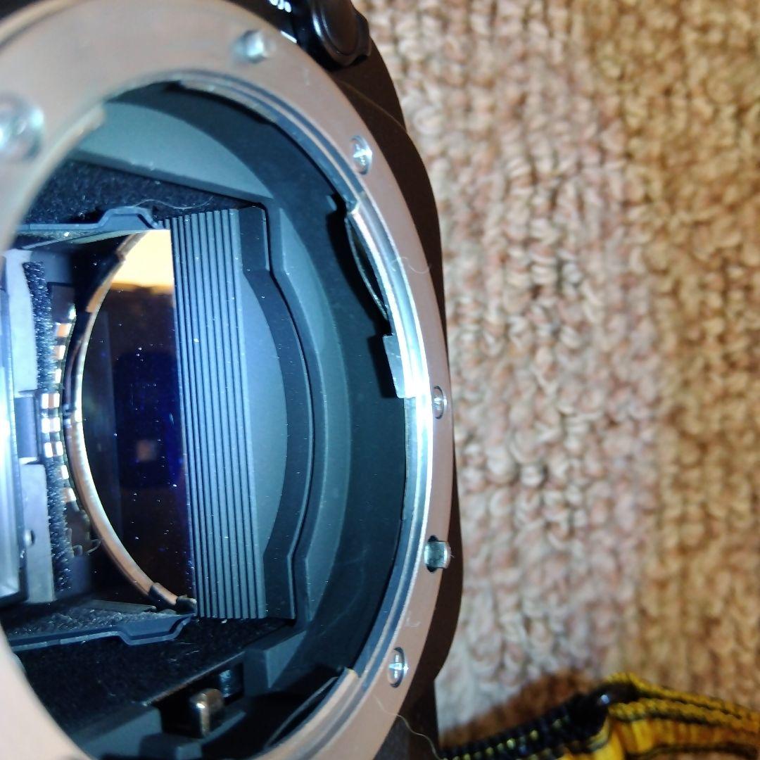 Nikon F100 一眼レフカメラ　＋MB15＋SB28