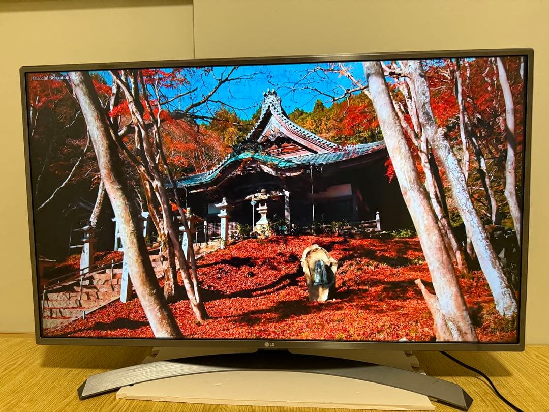 美品LG 43UJ6500 43 インチ　2017年製　⭕️ 4Kネット動画テレビ