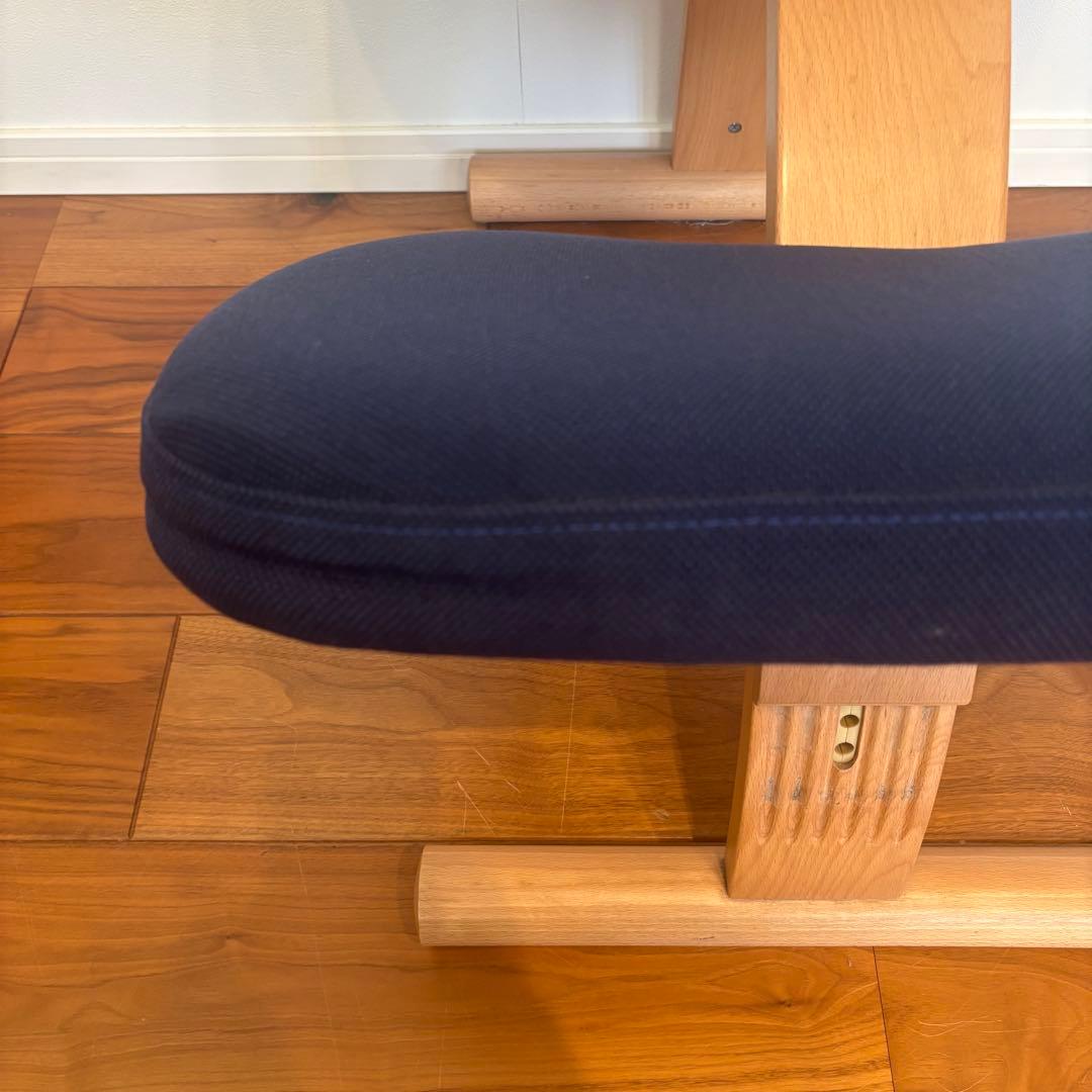 極美品 バランスイージー バランスチェア ネイビー サカモトハウス 日本製