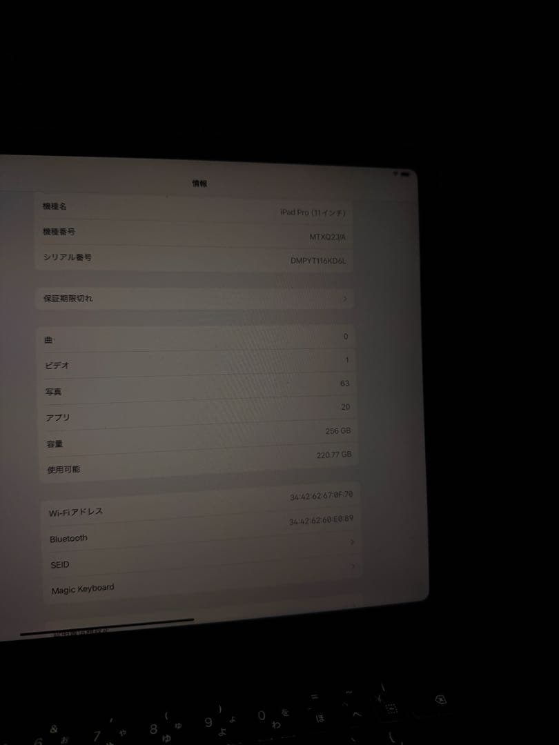 iPad Pro 11 第1世代 256GB magic keyboard