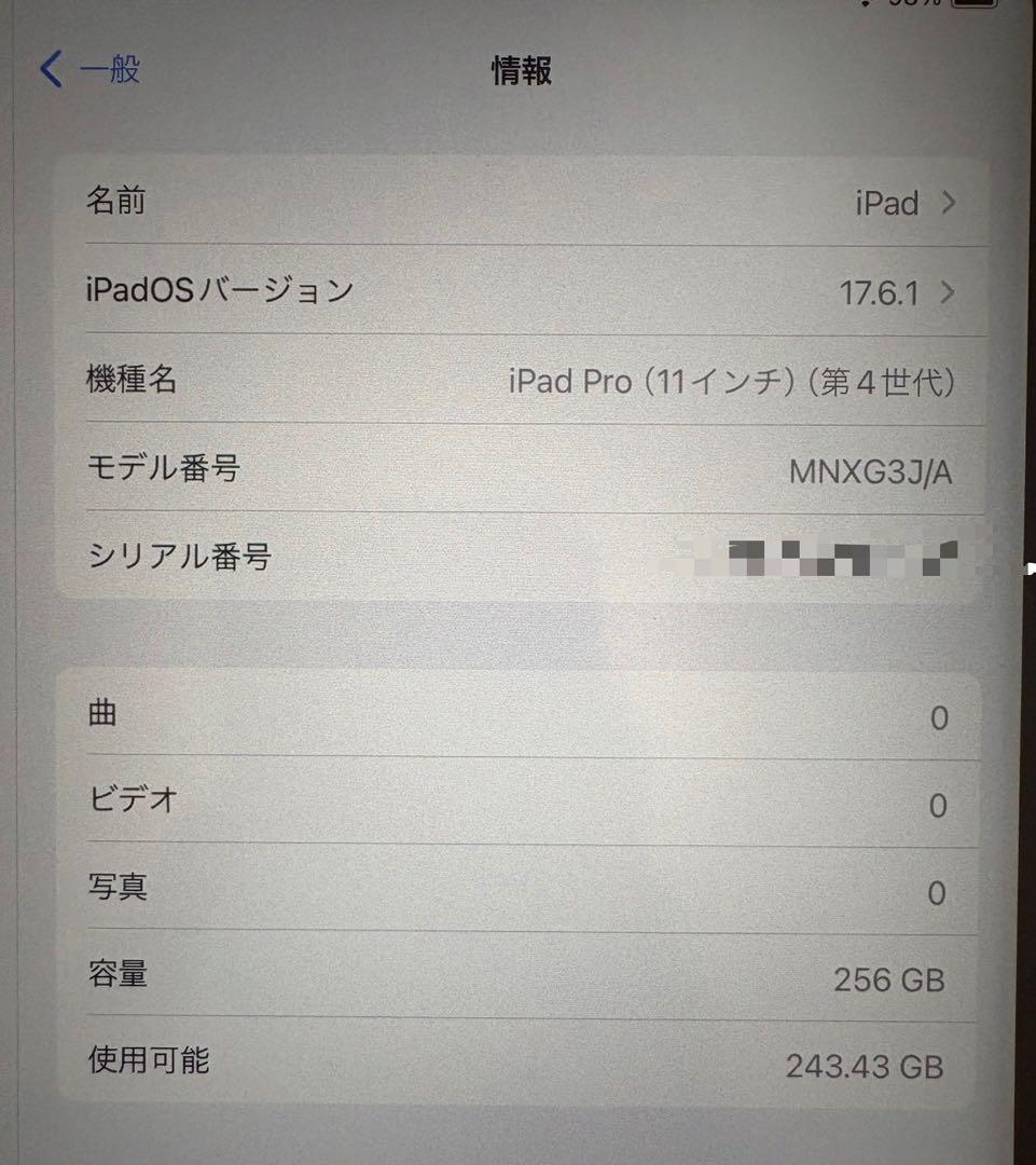 Apple iPad Pro (11インチ) 第4世代 256GB