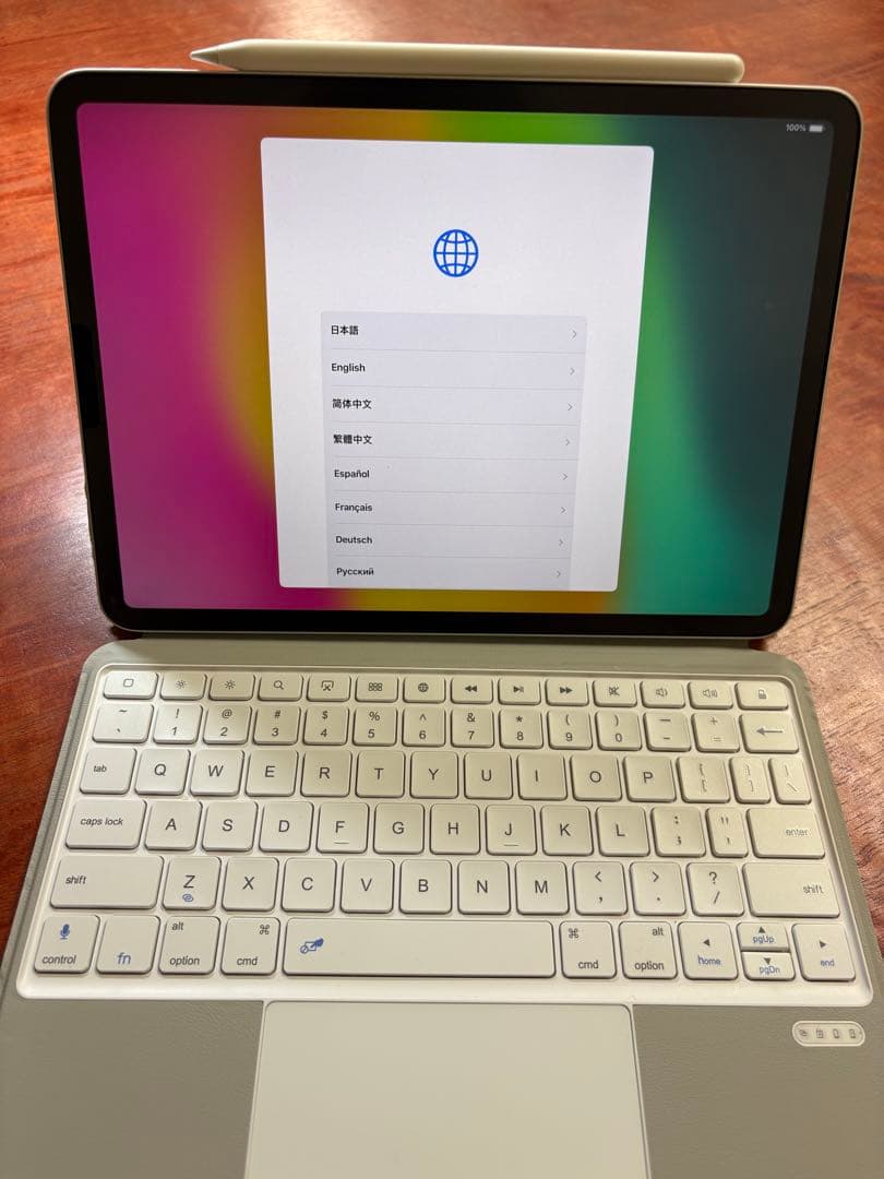 Apple iPad Pro (11インチ) 第4世代 256GB