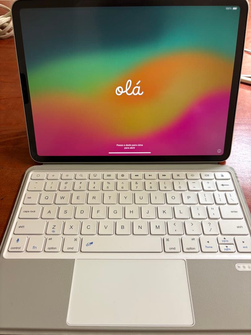 Apple iPad Pro (11インチ) 第4世代 256GB