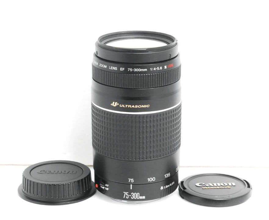 TUPAC ∞様 Canon zoom Lens EF 75-300 iii u