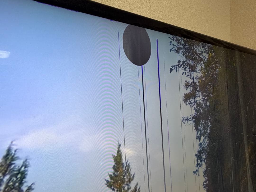 【ジャンク品】SONY BRAVIA KD-65X9200B 4K液晶テレビ