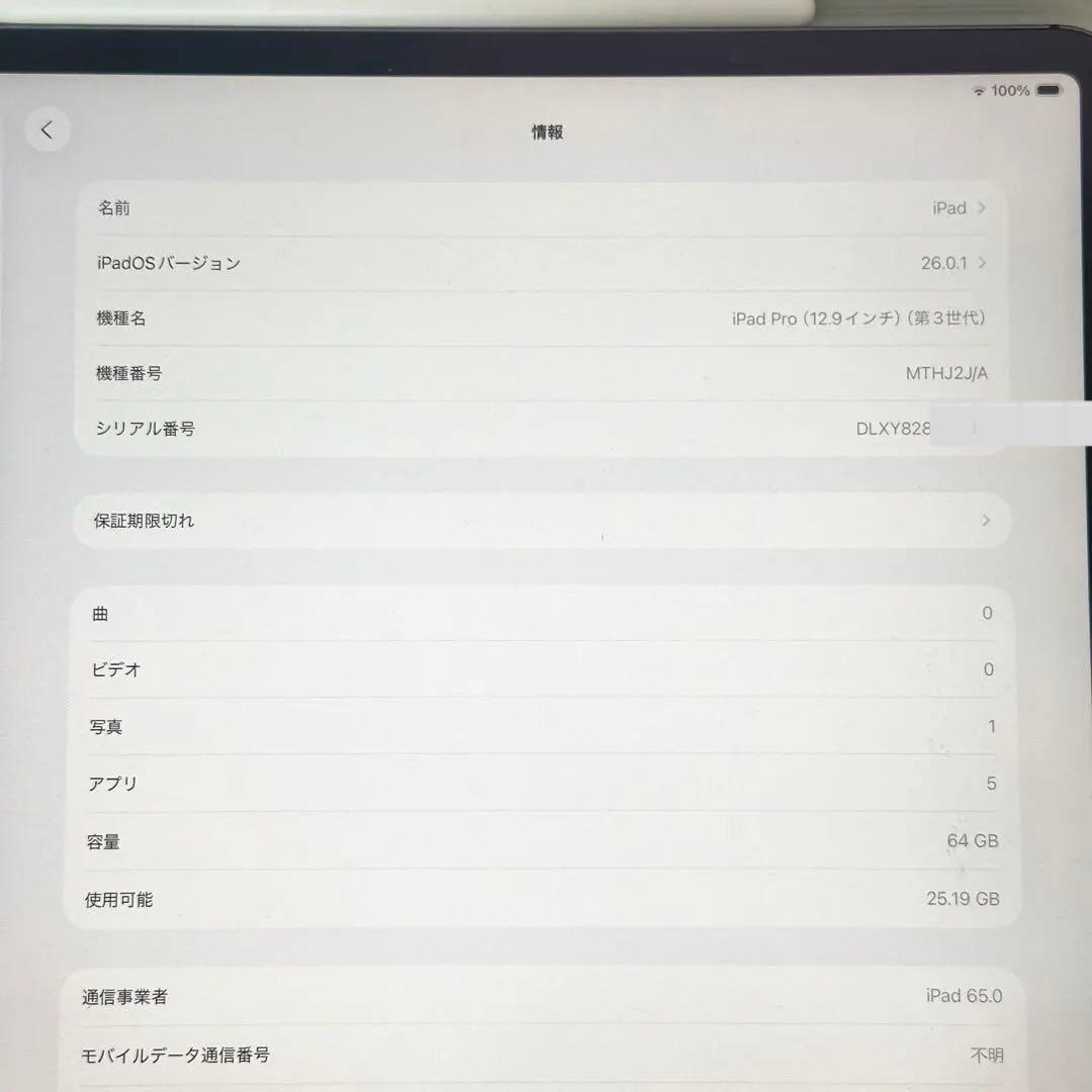 iPad Pro 12.9 第3世代 セルラー 64GB 豪華付属品完備 美品