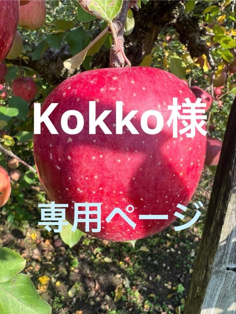 Kokko　高徳りんご3K3箱