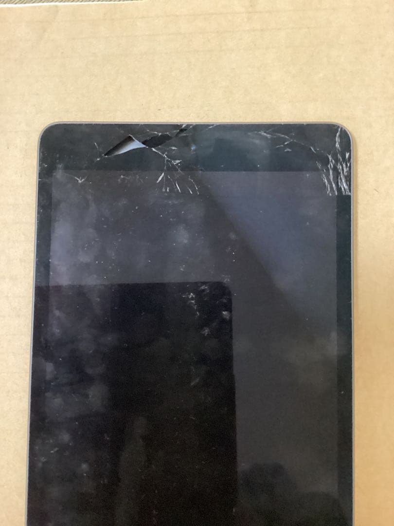 iPad mini 第5世代 64GB Wi-Fiモデル A2133、正常です。