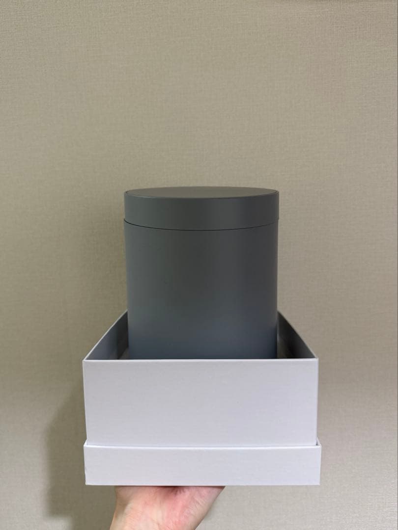 SALONIA ピュアブライトスチーマー 美顔器フェイススチーマー グレー