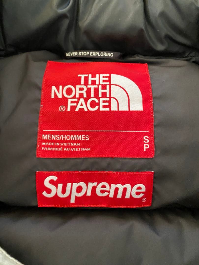 supreme north face ダウンジャケット　Agumo