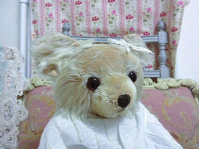 アンティークベア　ニッカーボッカー社　☆　天使みたいな子　テディベア