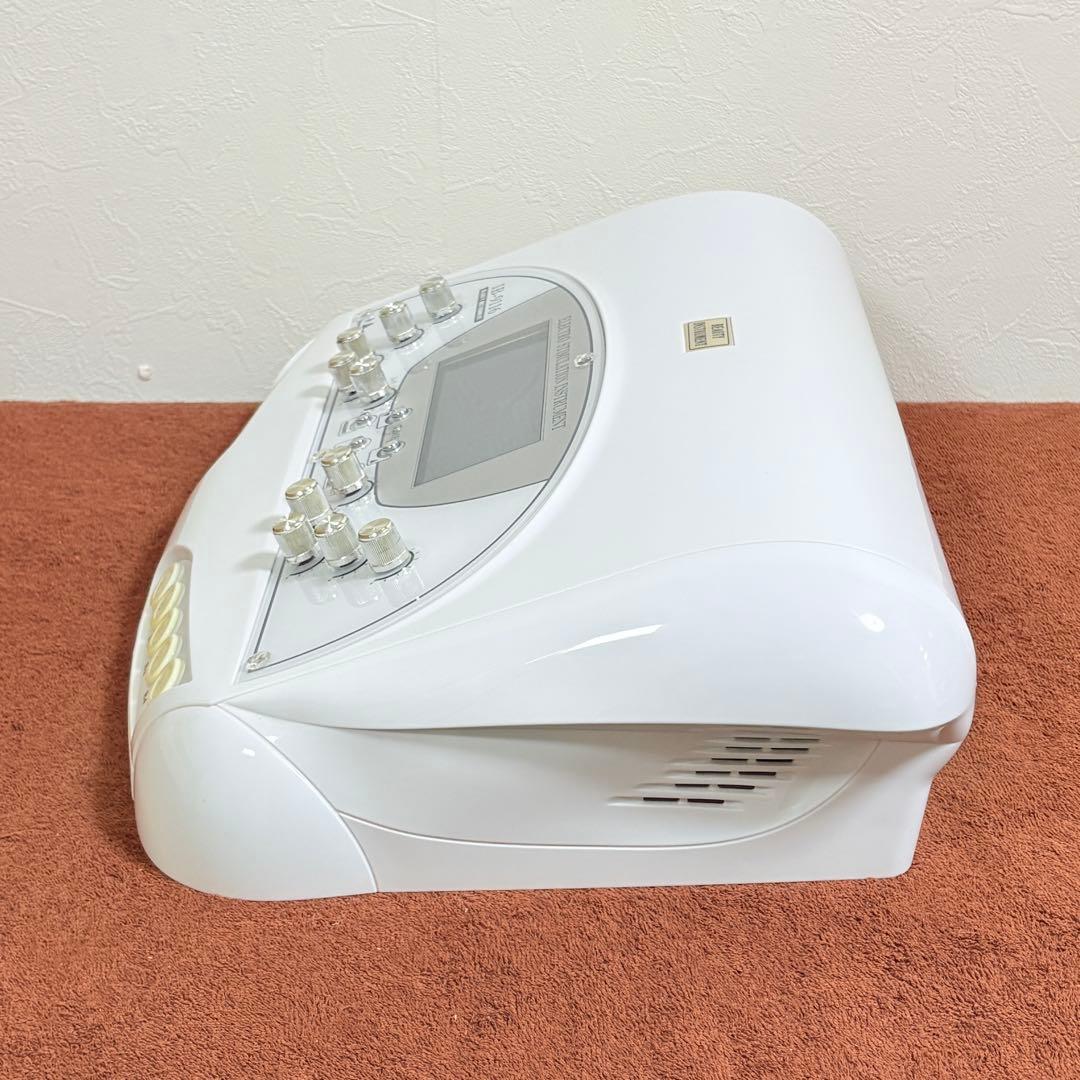 ハイパーEMS IB-9116 ビューティガレージ 業務用EMS パッド予備付き